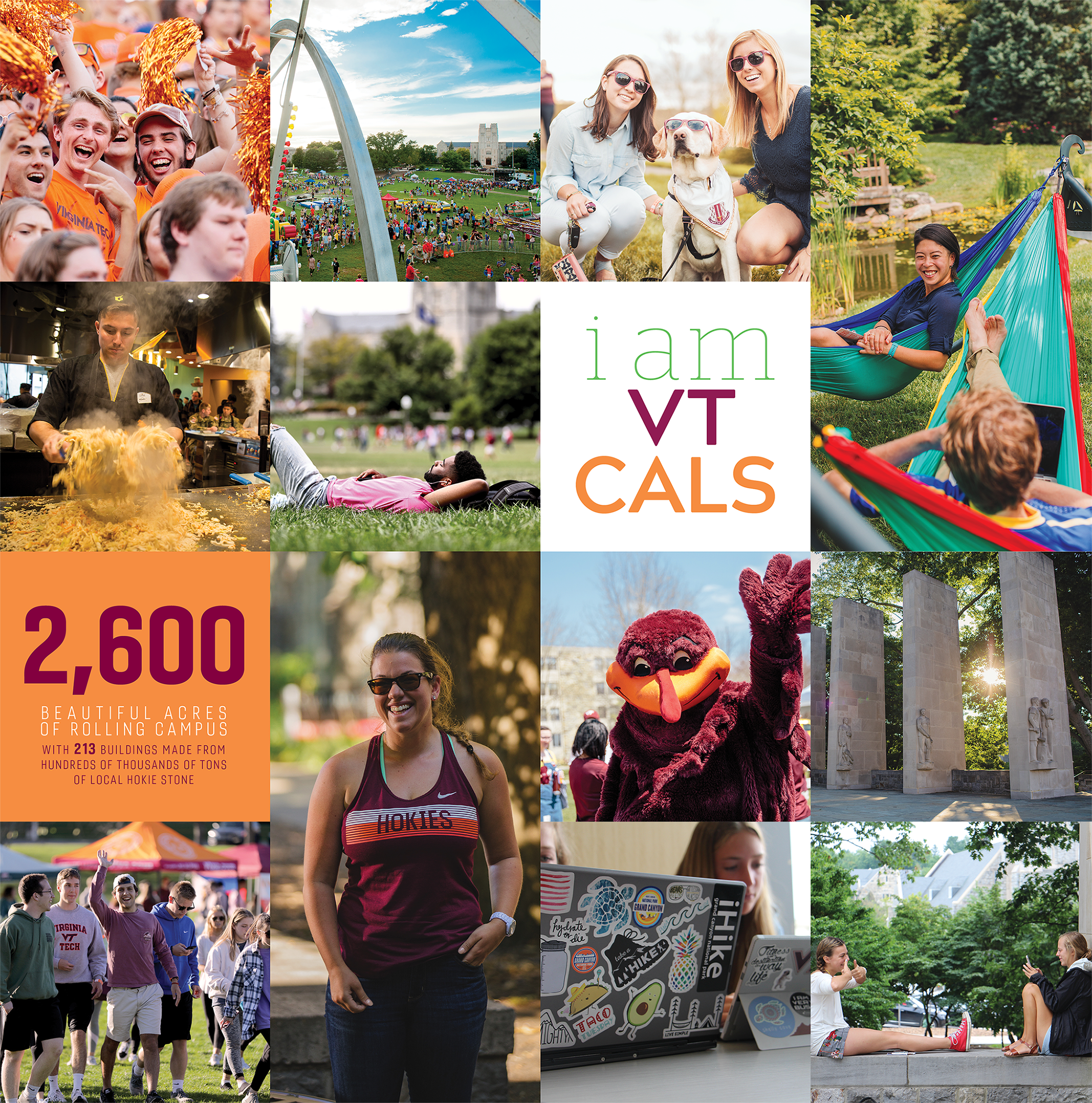 Collage of images of students engaged in various activities outdoors on the Virginia Tech campus